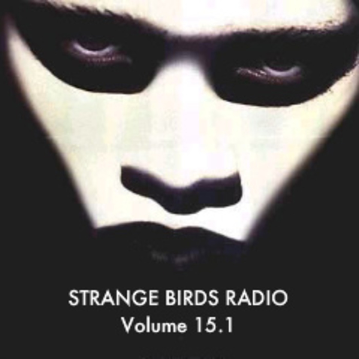 Strange Birds Radio 15: In The Dark episode artwork
