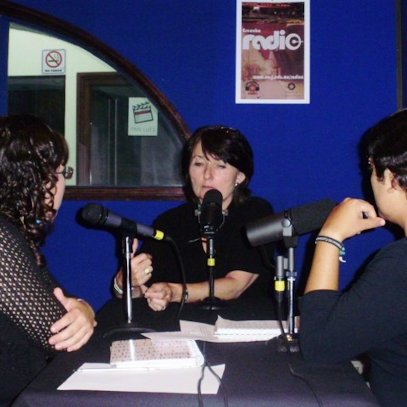 Entrevista a Diana Taylor. Directora del Instituto Hemisférico de Performance y Política de New York University