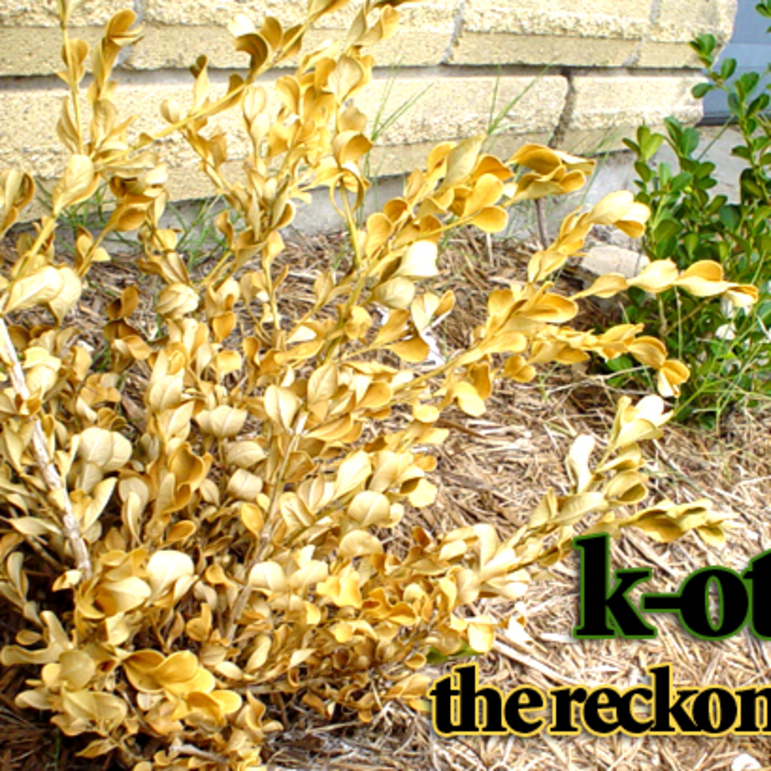 K-Otix - Let Me Be Your Addiction f/ Michele Thibeaux episode artwork