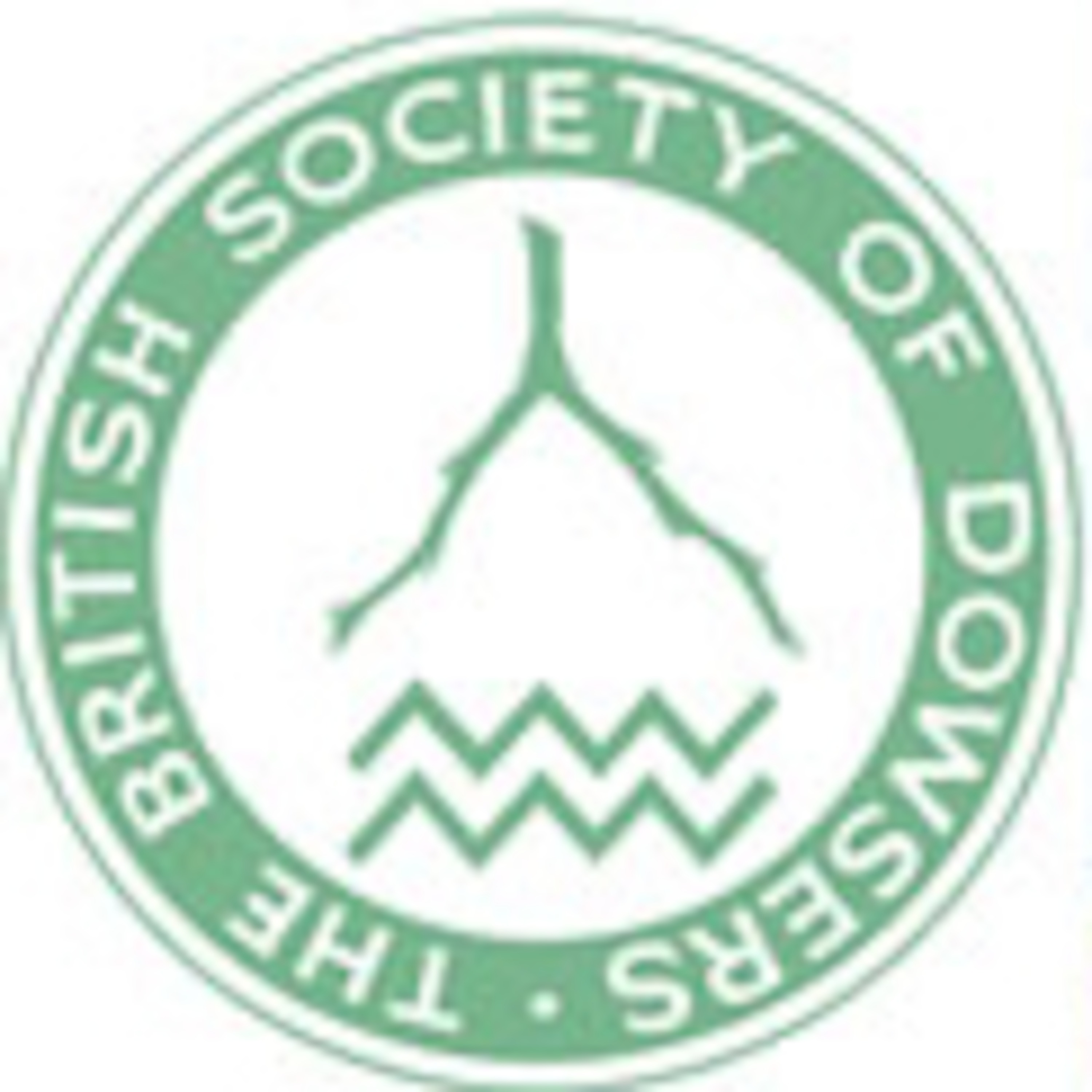 Radio interview with the British Society of Dowsers episode artwork