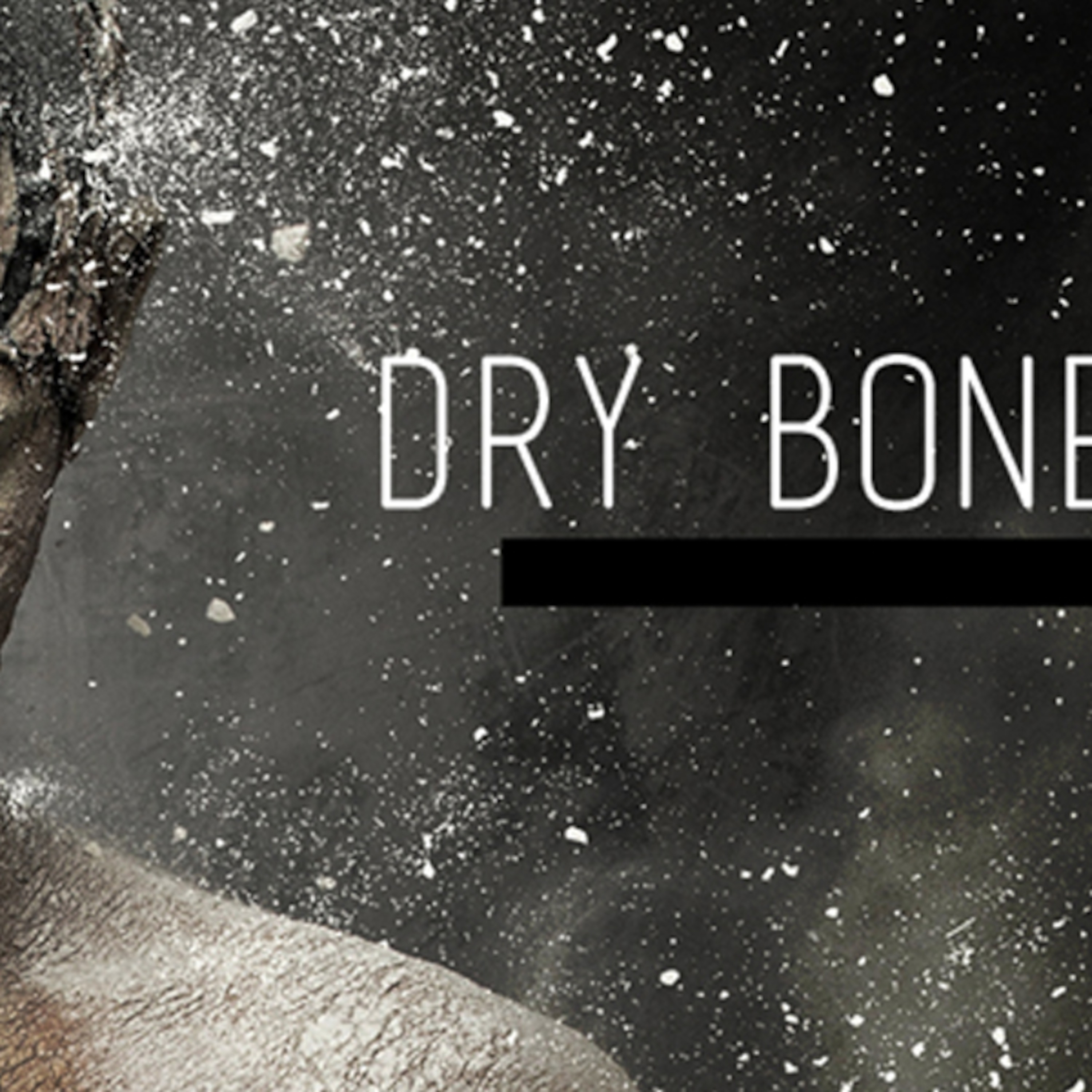 Dry Bones episode artwork