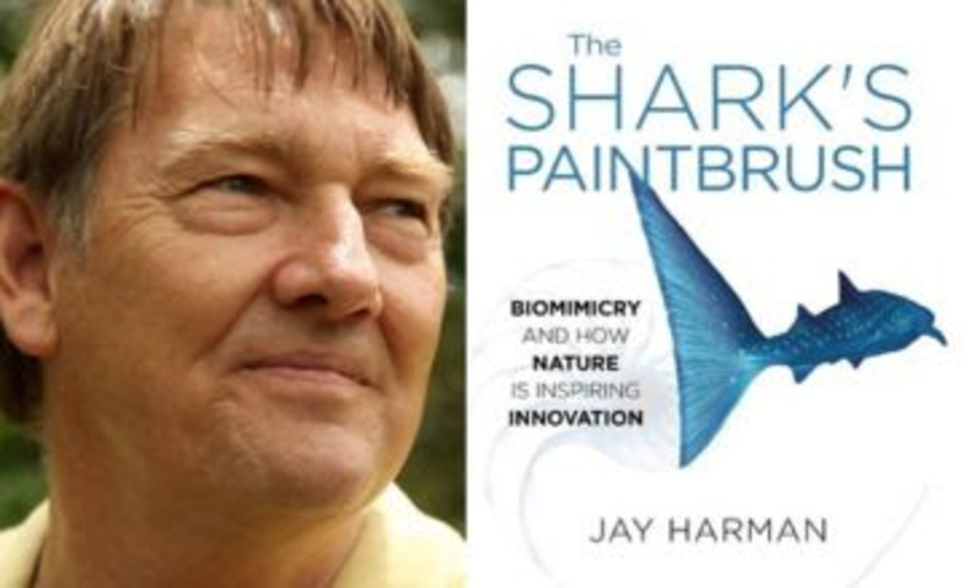 Free Forum Q&A- JAY HARMAN, THE SHARK'S PAINTBRUSH:   How Nature is Inspiring Innovation