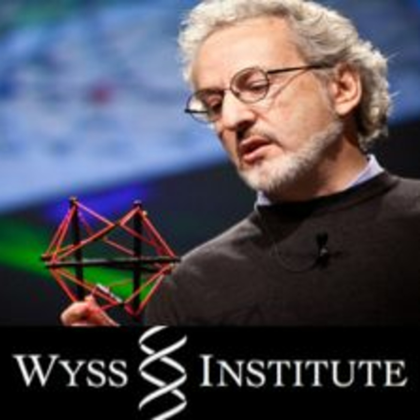 Q&A: Don Ingber-Innovation Inspired by Nature