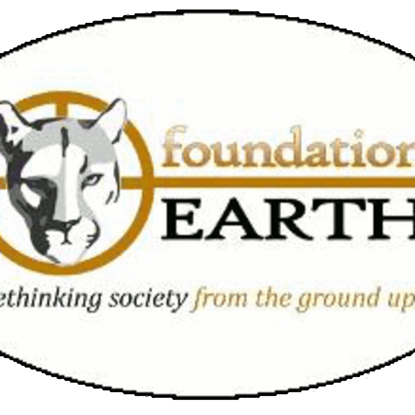 Q&A: RANDY HAYES, ED of Foundation Earth former head of Rainforest Action Network,   working to 