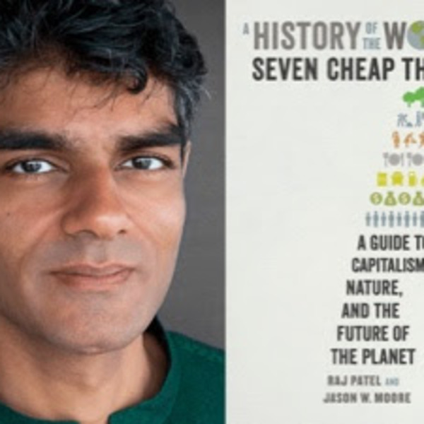 A History of the World in Seven Cheap Things by Raj Patel, Jason W