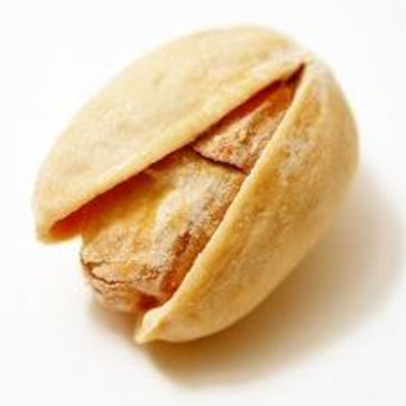 The Universe and a Nut