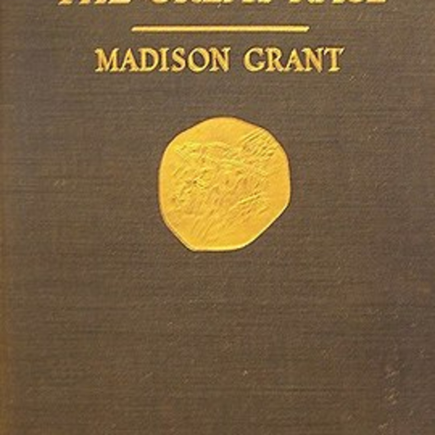 The Camp Constitution Report