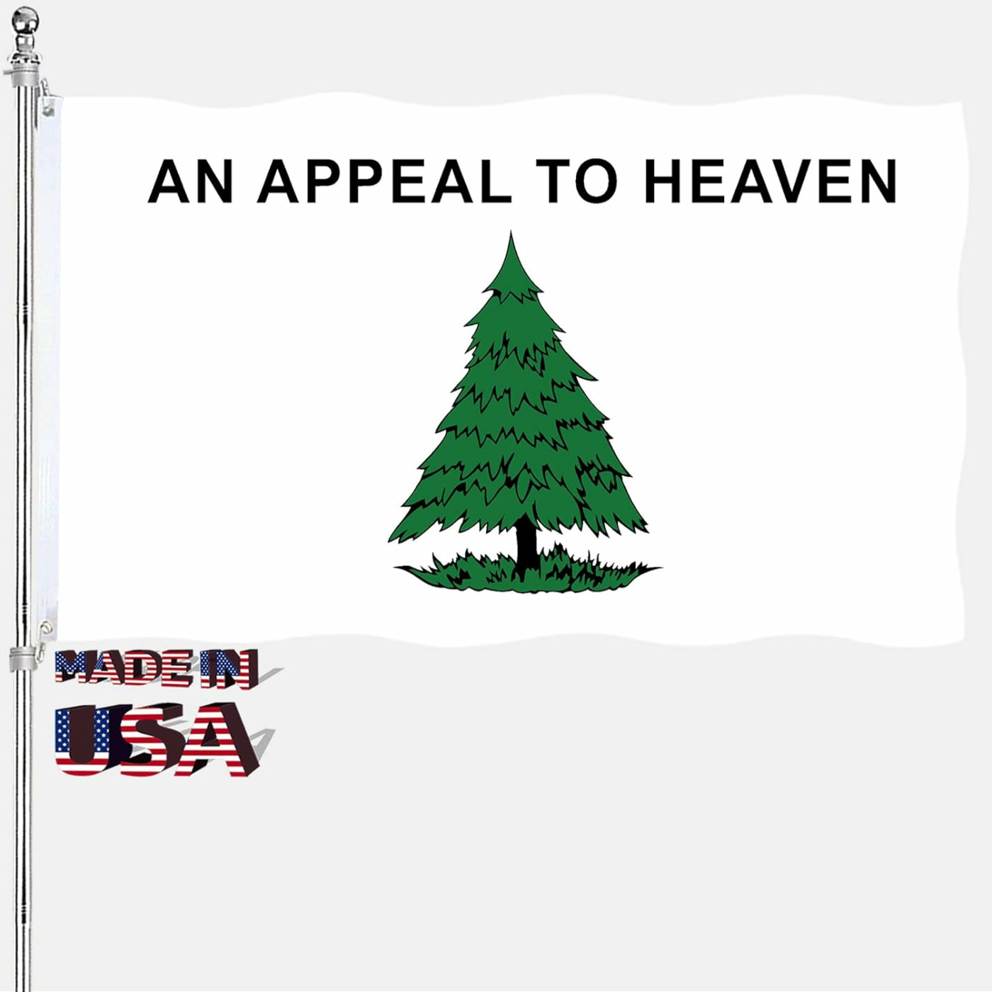 The Camp Constitution Report