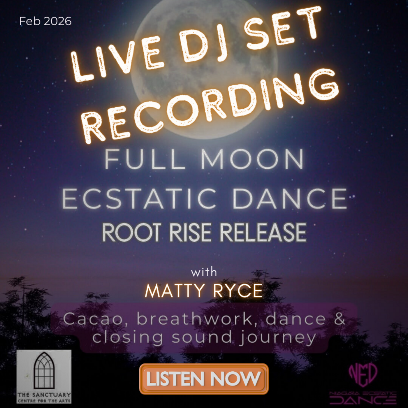 Matty Ryce : Vibrational Medicine