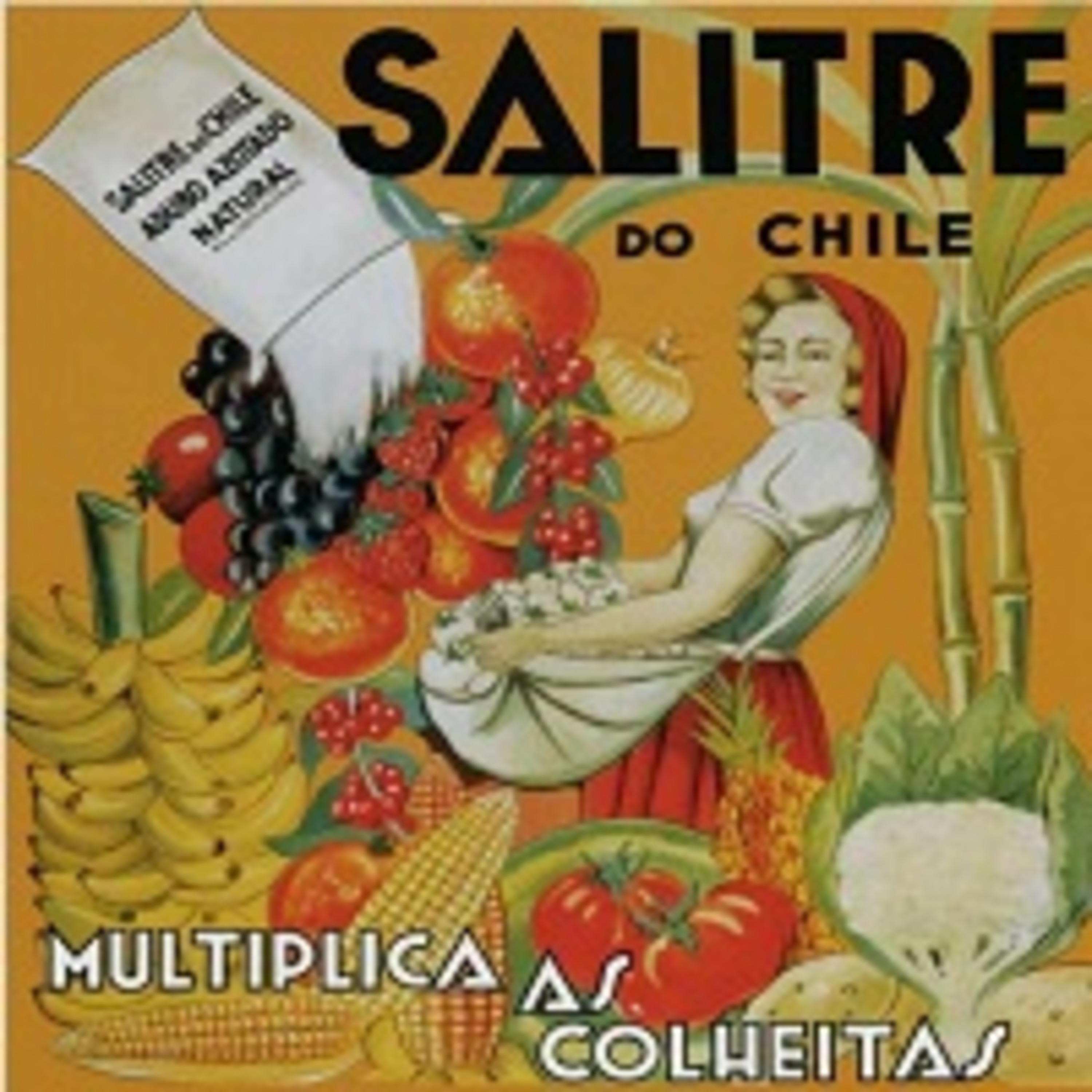 HistoriZando