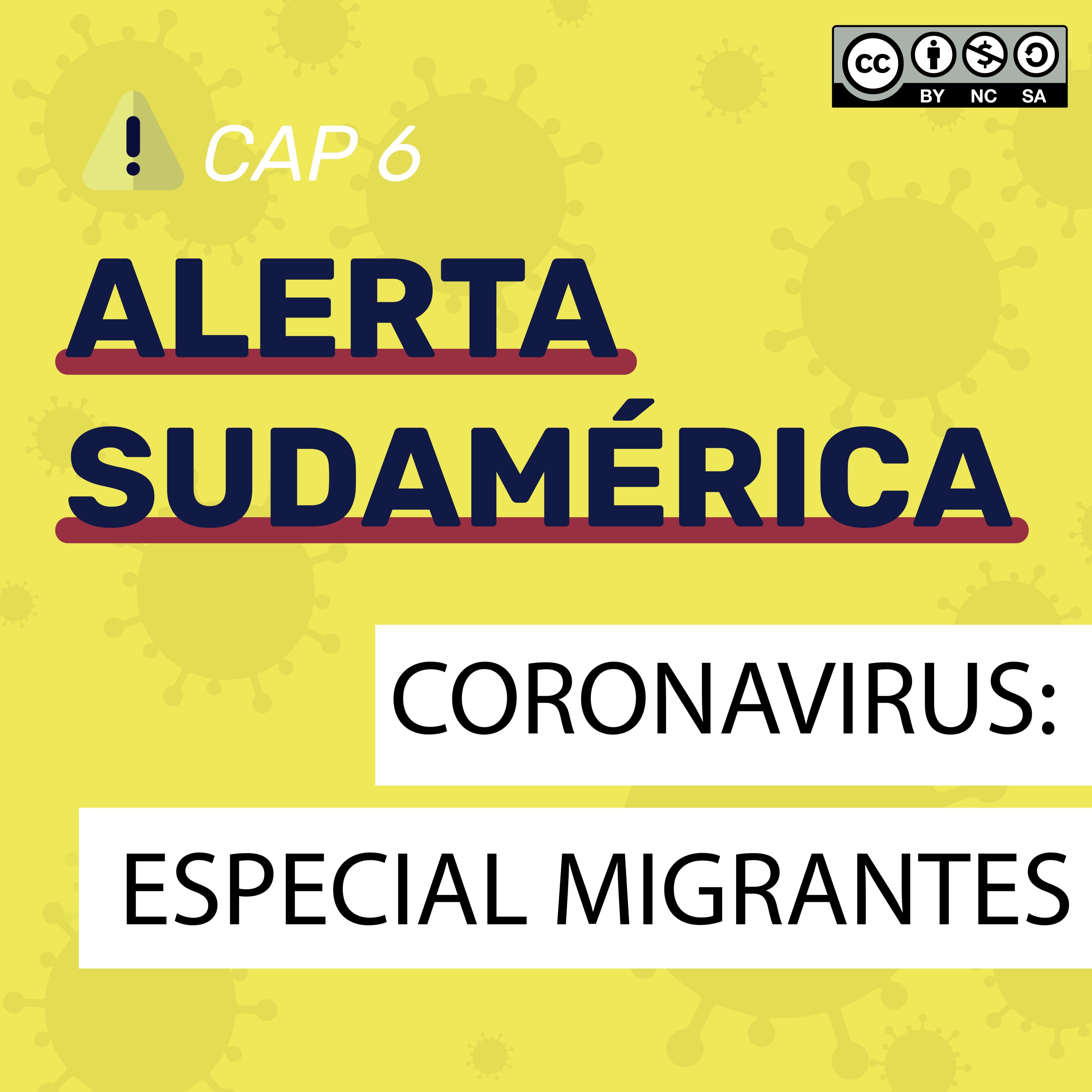 Capítulo 6: Especial sobre Migraciones y Covid 19