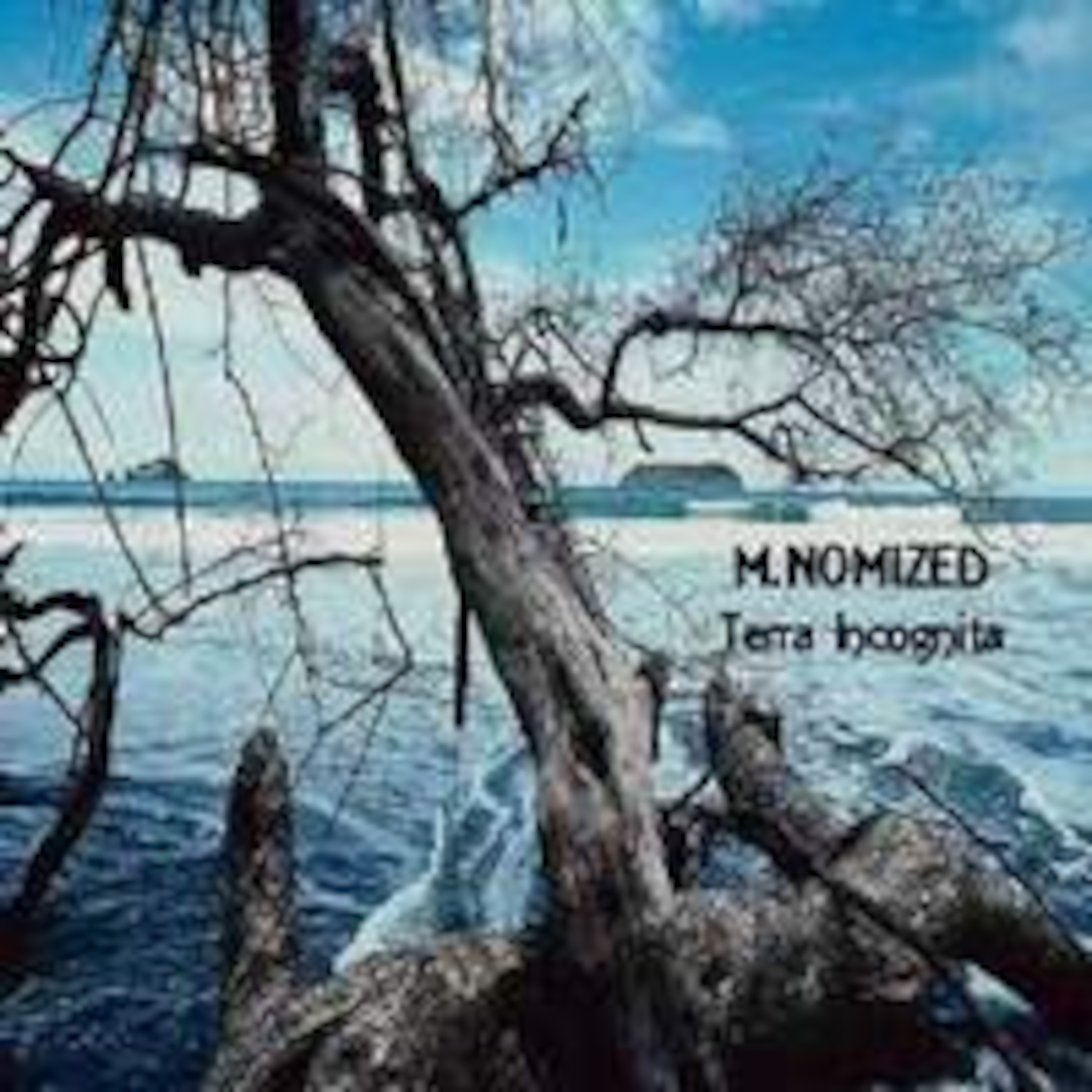 M.NOMIZED - Unpublished