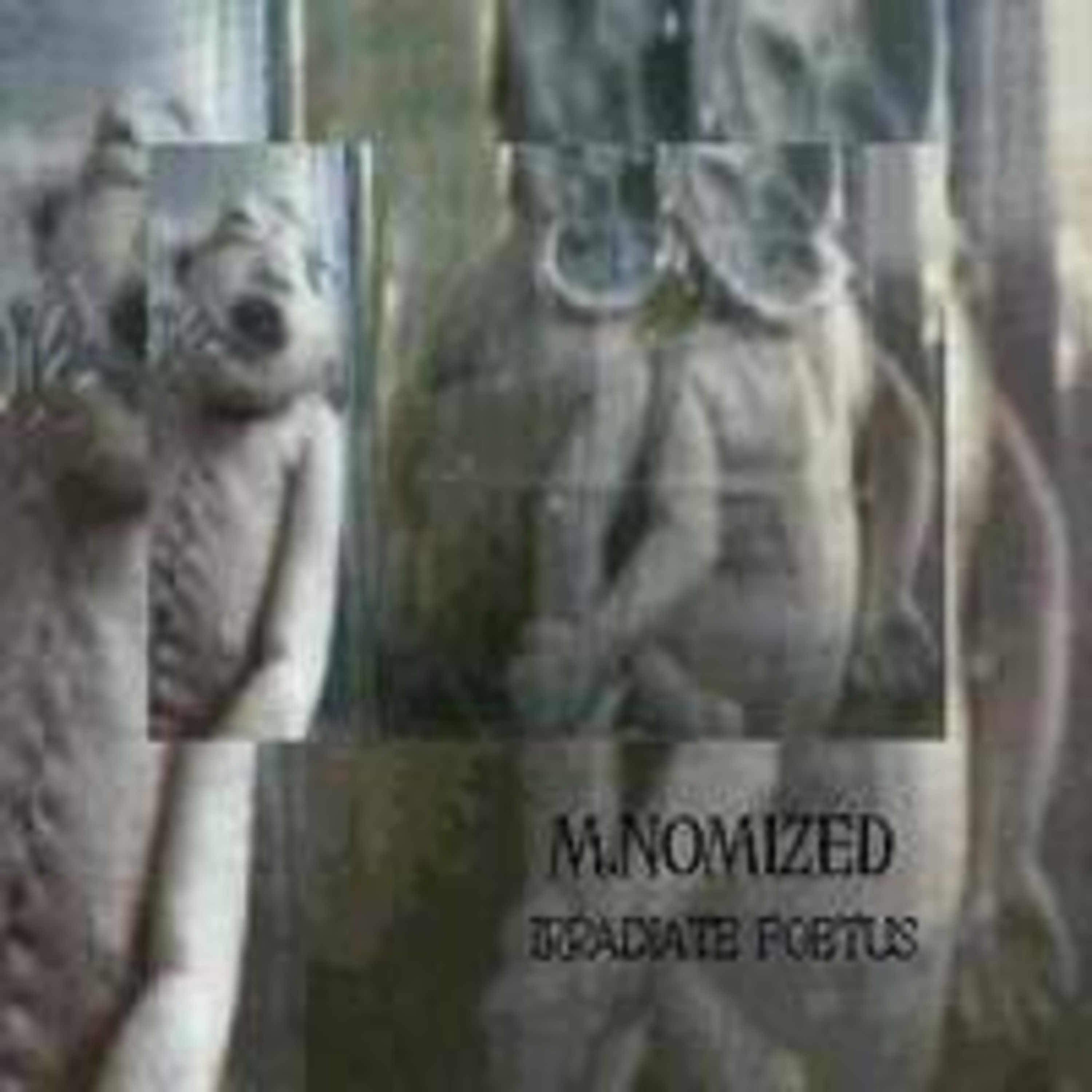 M.NOMIZED - Unpublished