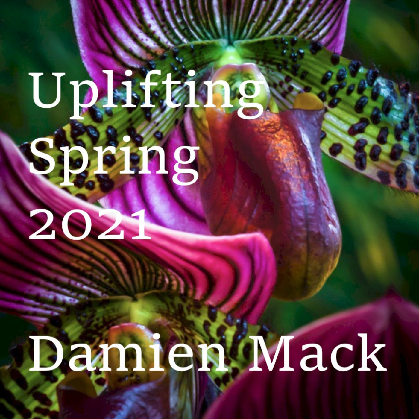 DJ Damien Mack - Melbourne