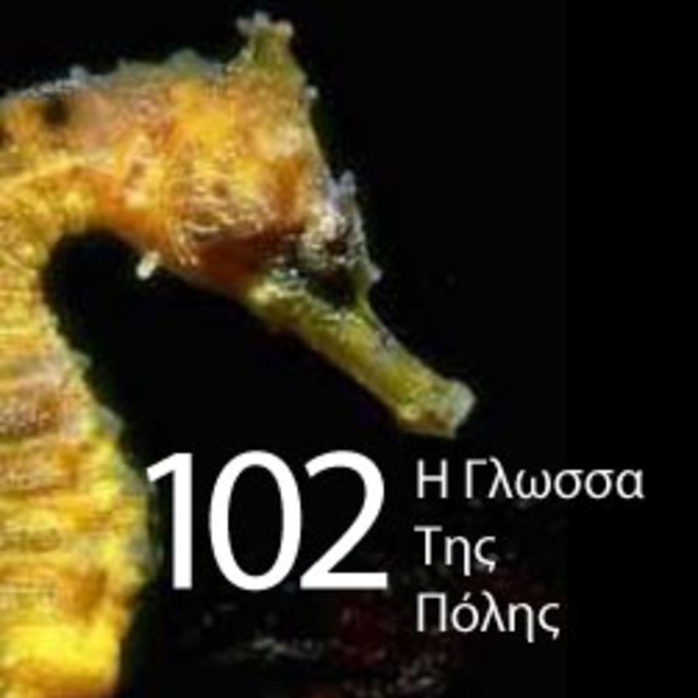 I Glossa Tis Polis 102 episode artwork