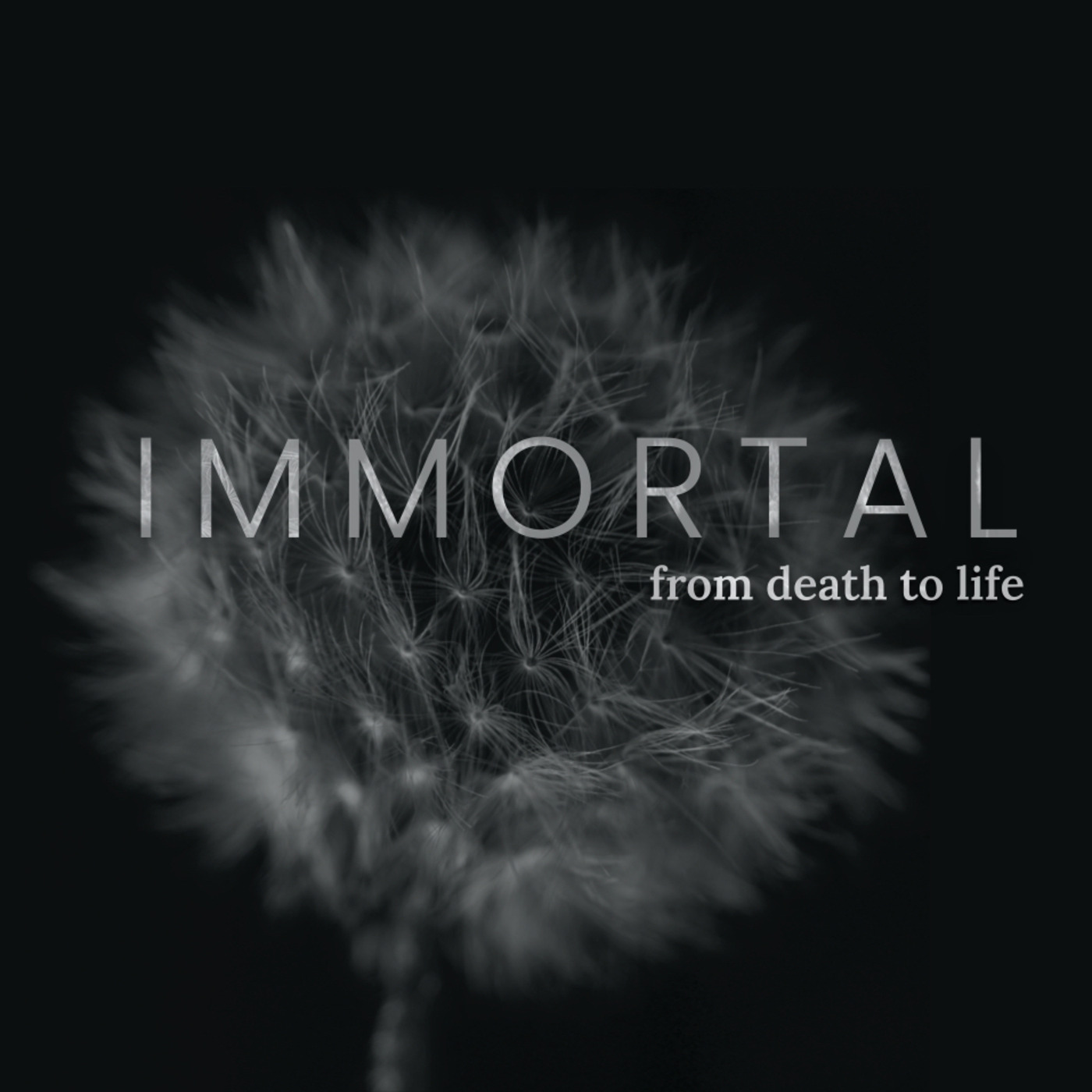Episode 96: 4/3/22: Immortal- Week 5