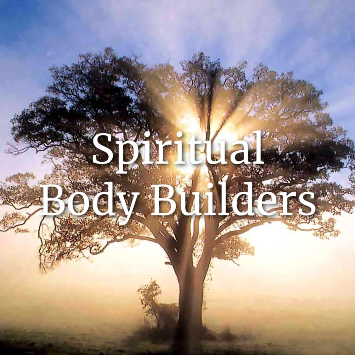 Episode 198: Spiritual Body Builders Luke 11-15 episode artwork