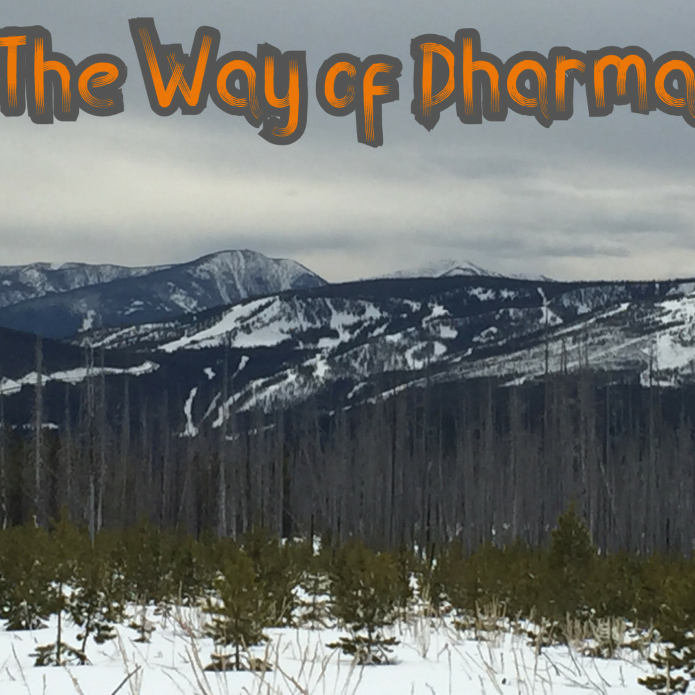 The Way of Dharma