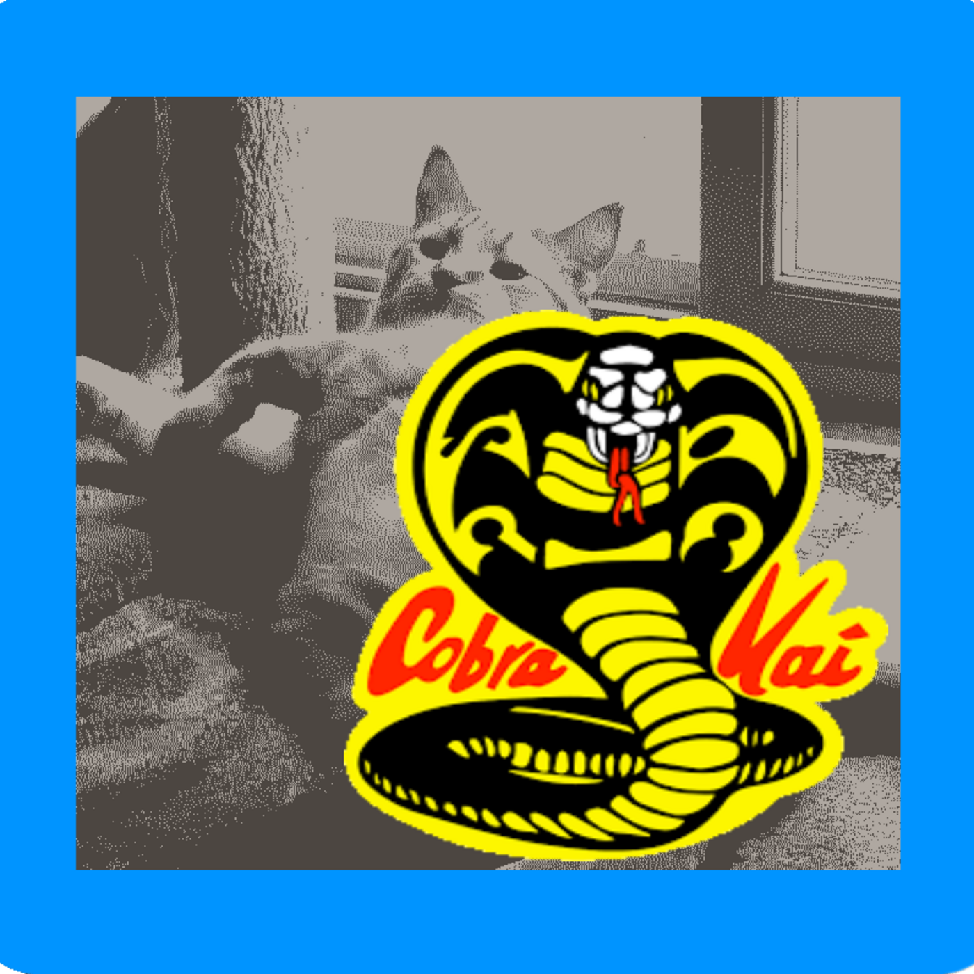 Catbox Chronicles
