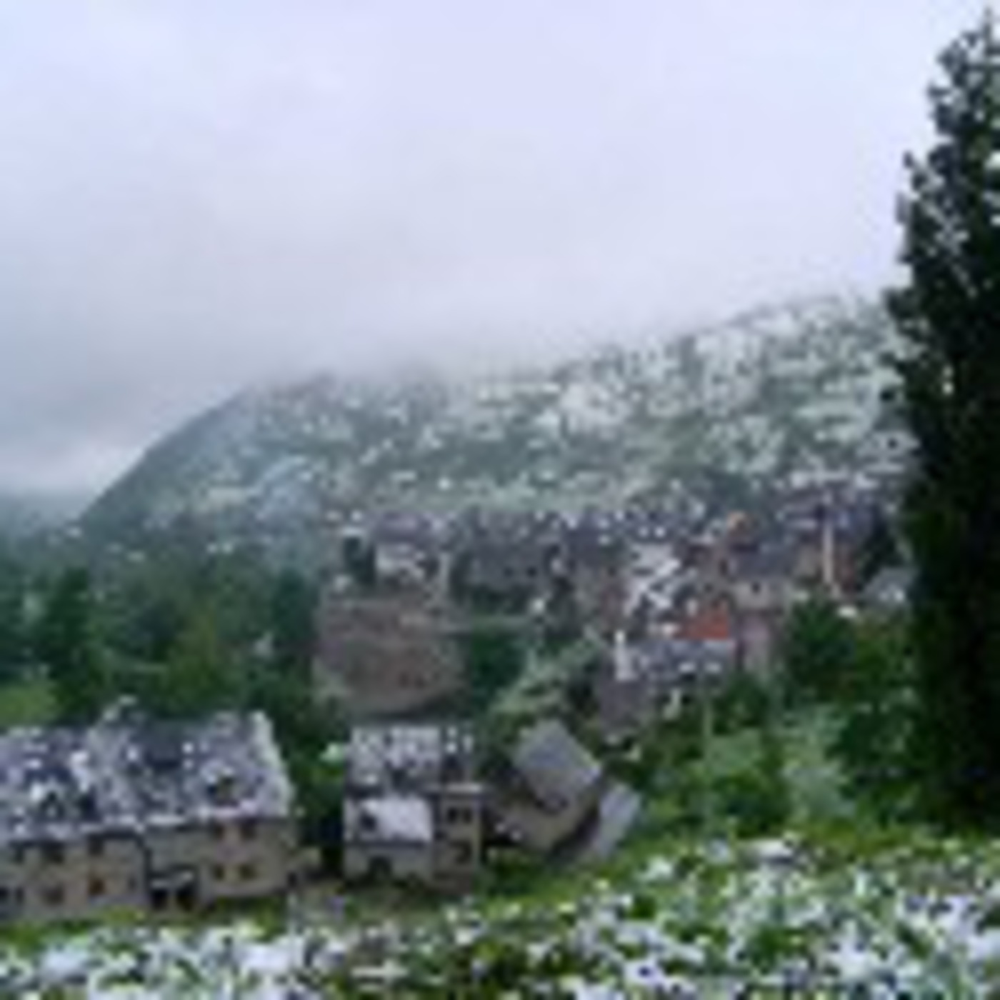 1er Prix cat  D - IES Aran