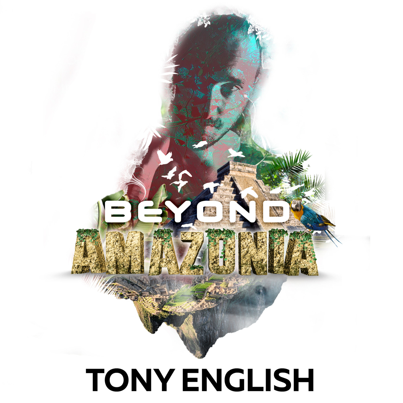 BEYOND AMAZONIA - TONY ENGLISH