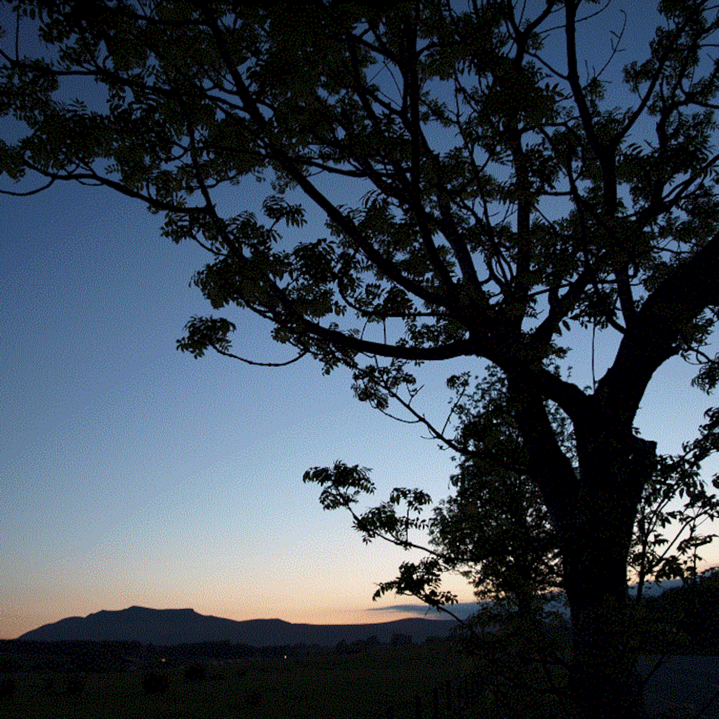 Newcastle Roots Music Radio October November 2012