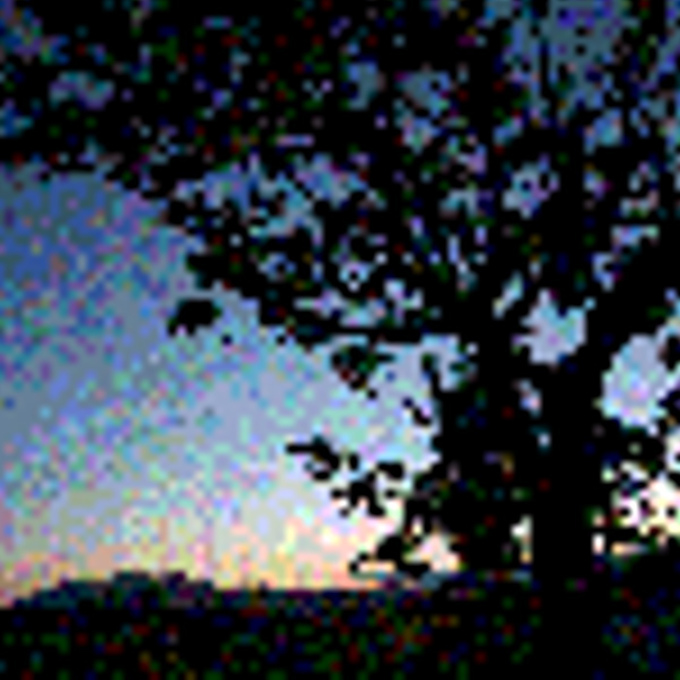 Newcastle Roots Music Radio June 2013