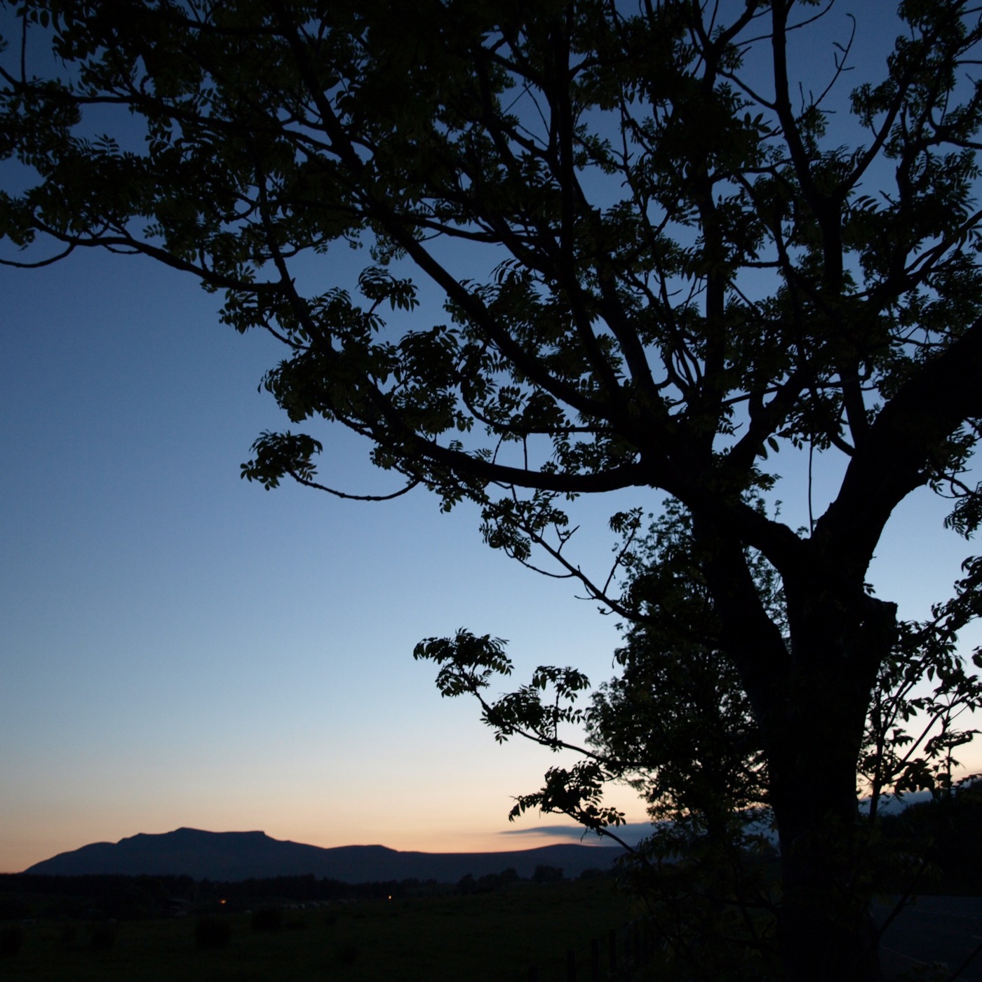 Newcastle Roots Music Radio March 2014