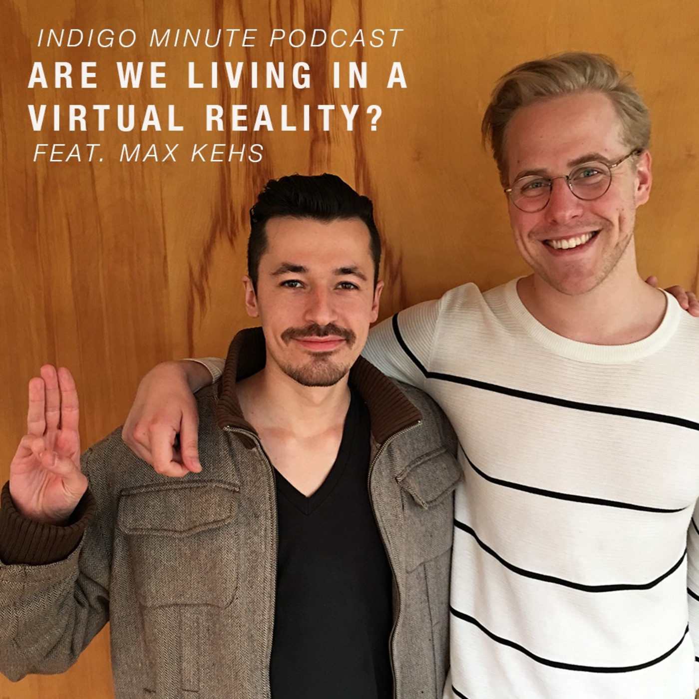 Are We Living In A Virtual Reality?