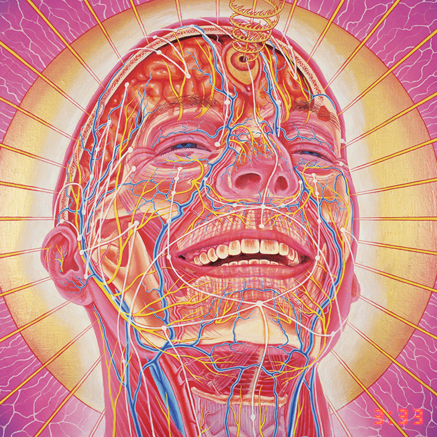 The Secret To Happiness episode artwork