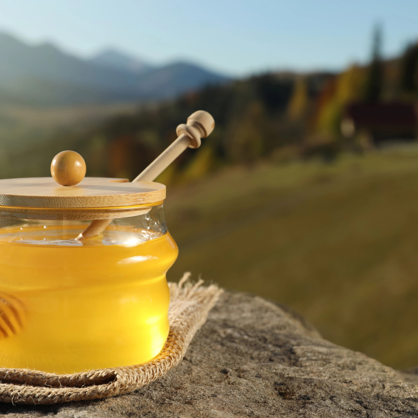 Episode 860: Ep 860: Chapel "Honey From a Rock" Psalm 81 (Musing With God) episode artwork