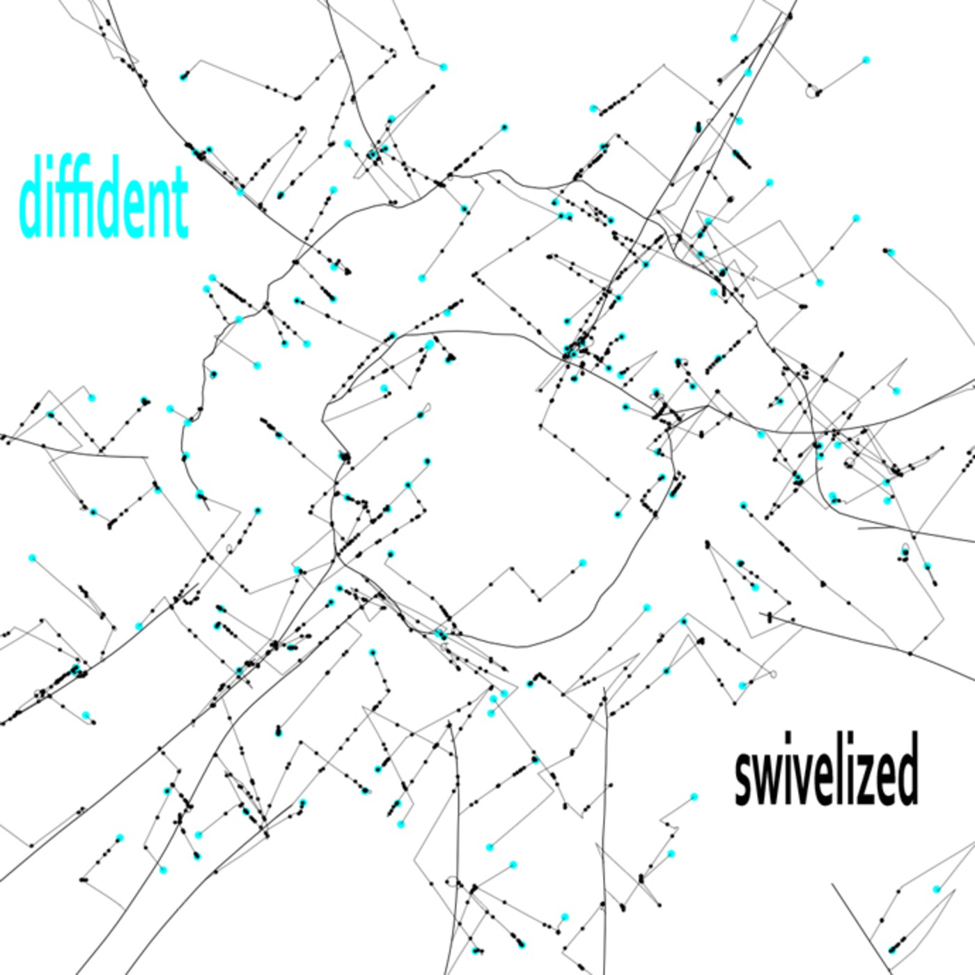 ˈdifidənt