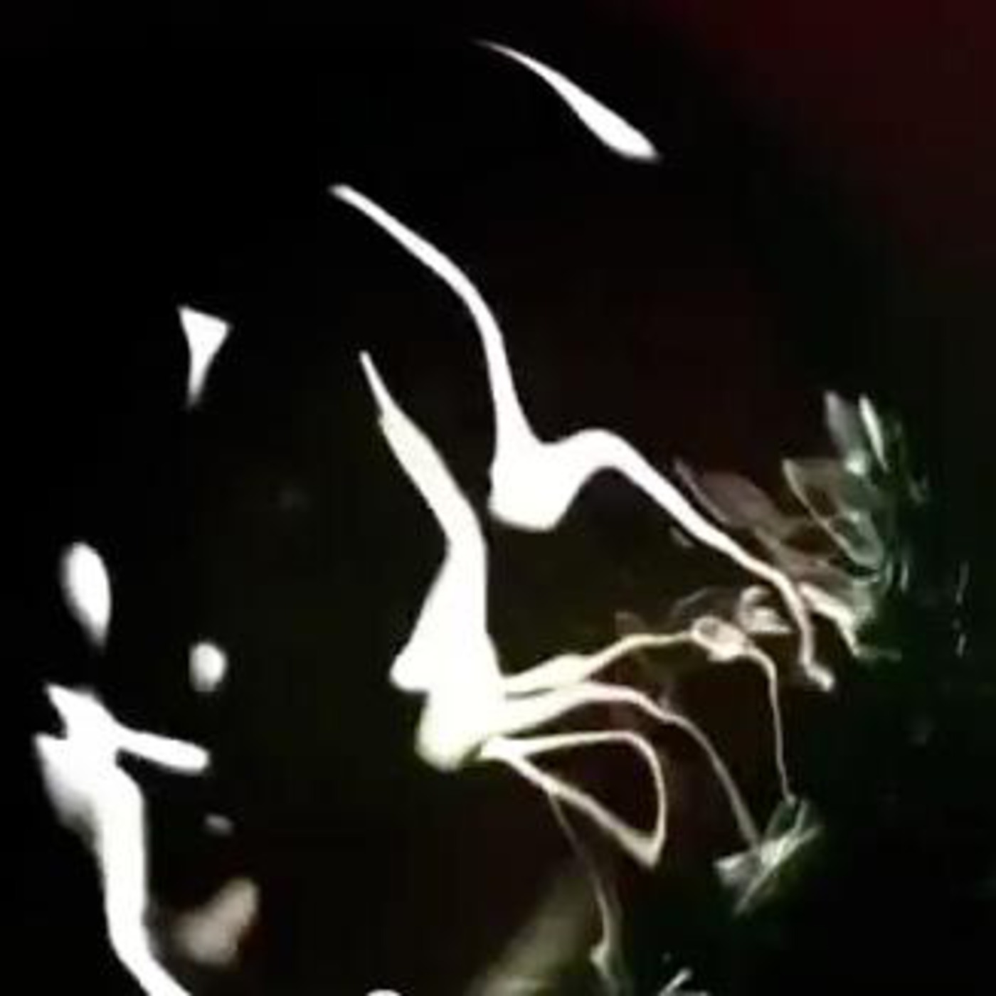 In this moment (and in this one)