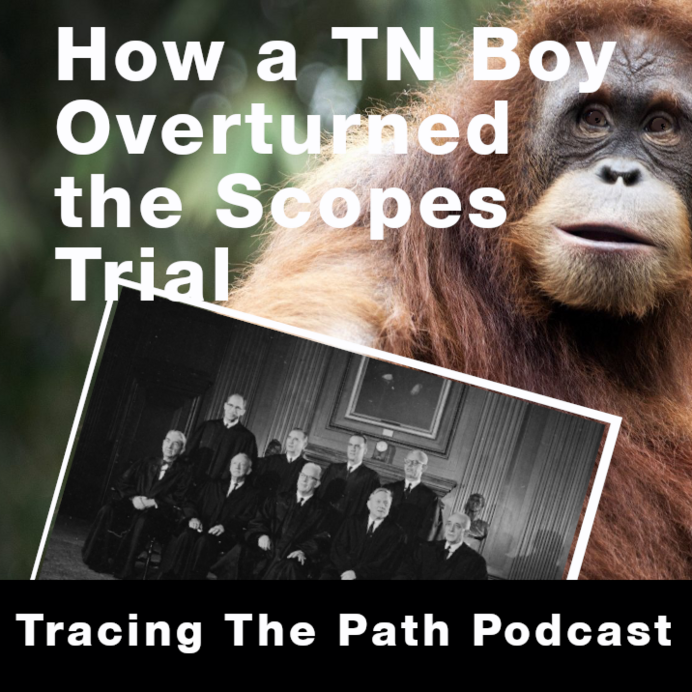 Episode 17: How a Tennessee Student Overturned the Scopes Trial Verdict