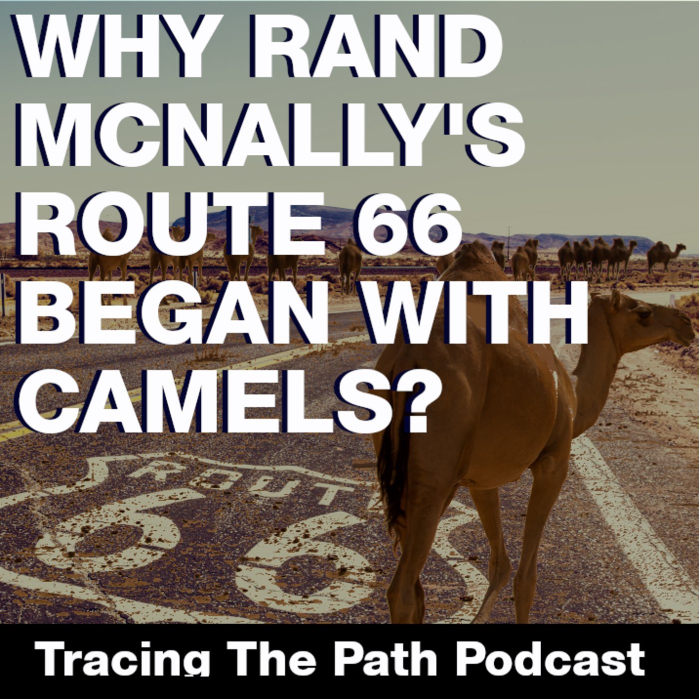 Tracing The Path