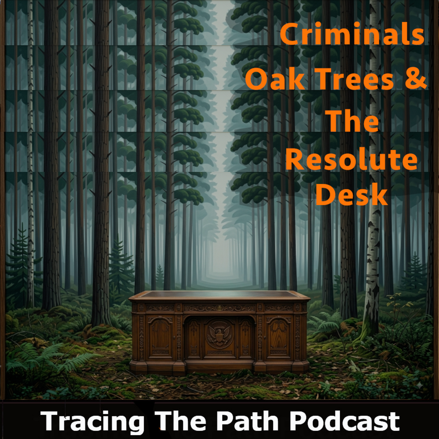 Episode 56: The Amazing Story of Van Diemen's Land and the U.S. Presidential Resolute Desk episode artwork