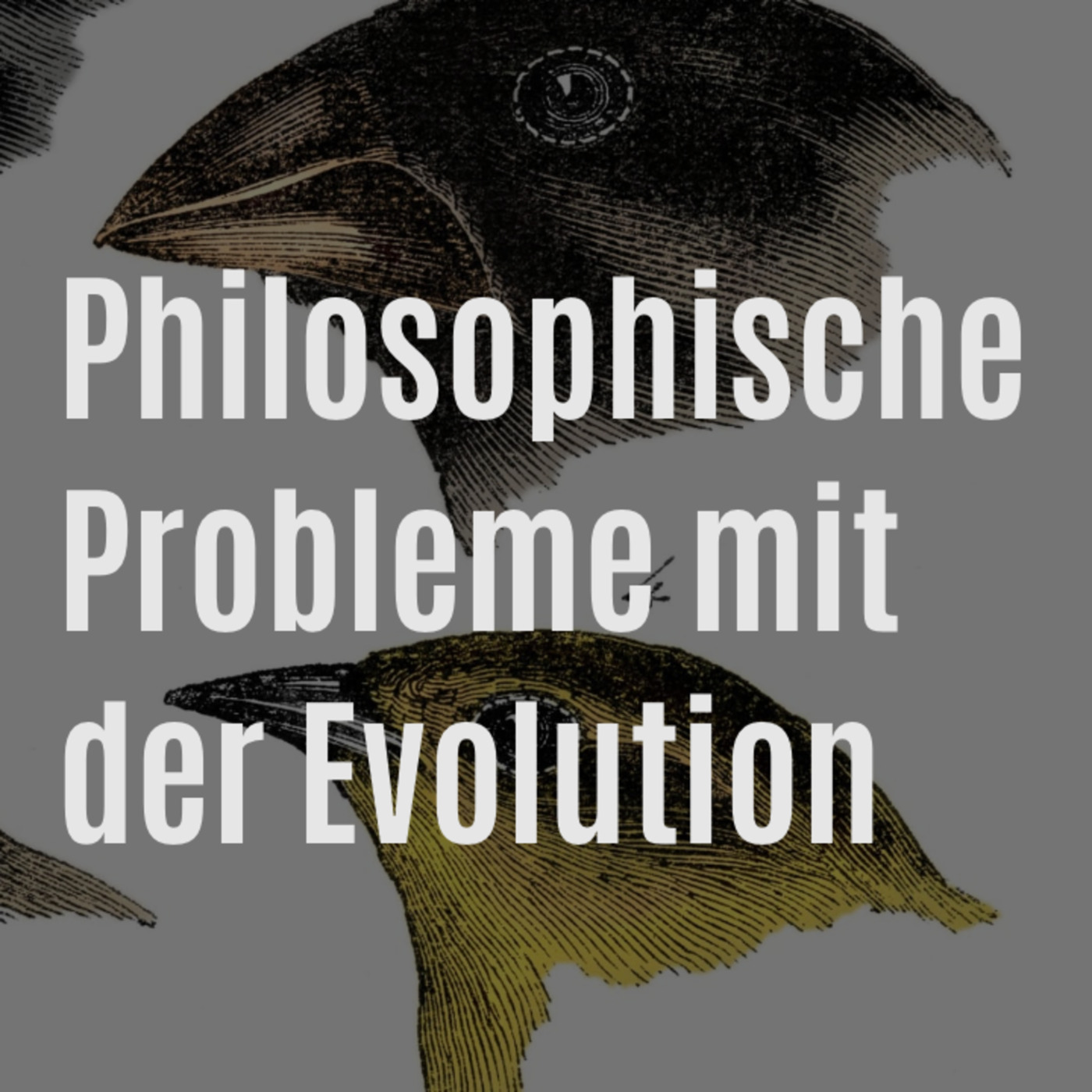 DZW, Episode 133: Philosophische Probleme mit der Evolution (Schöpfung, Kreationismus, Darwin) episode artwork