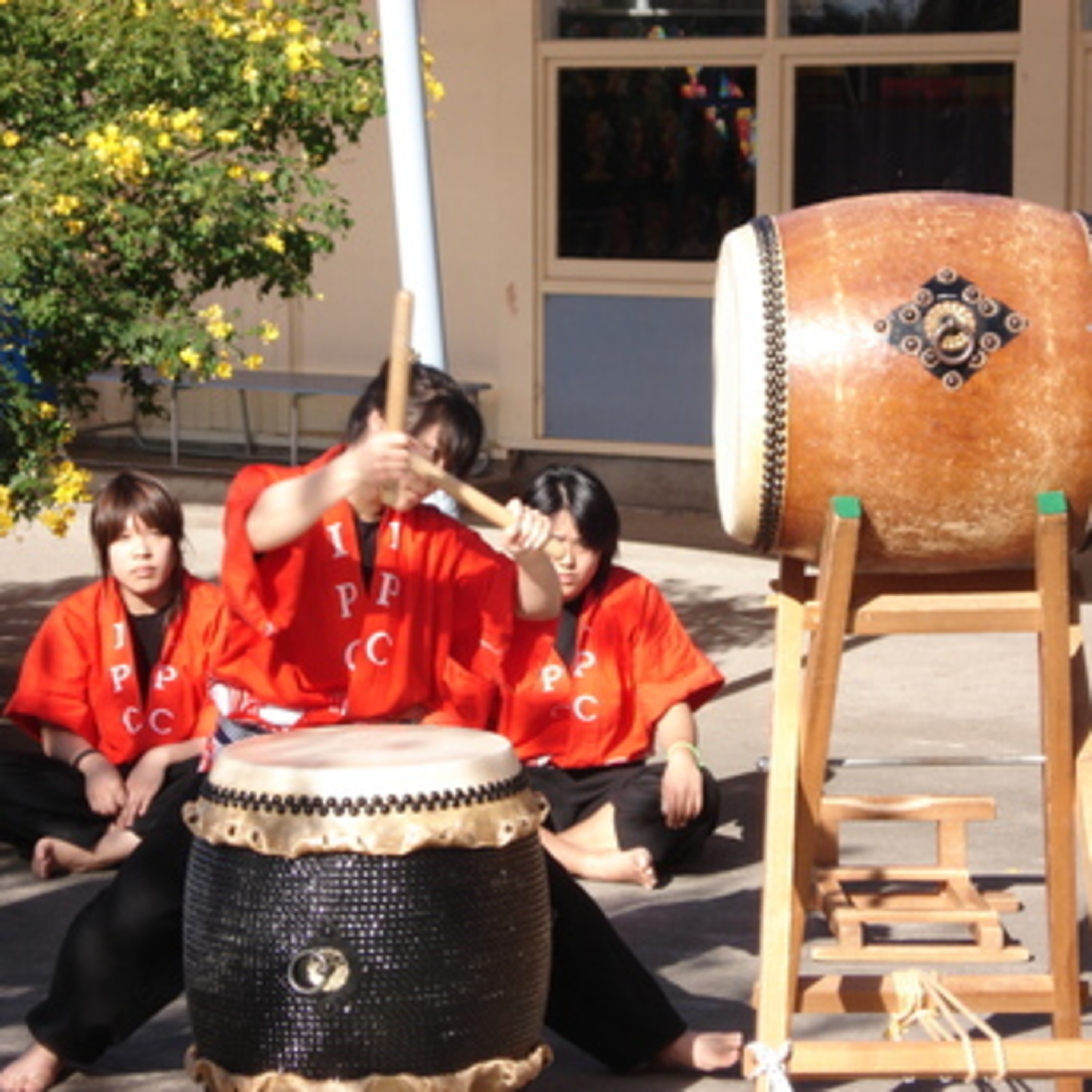 Taiko episode artwork
