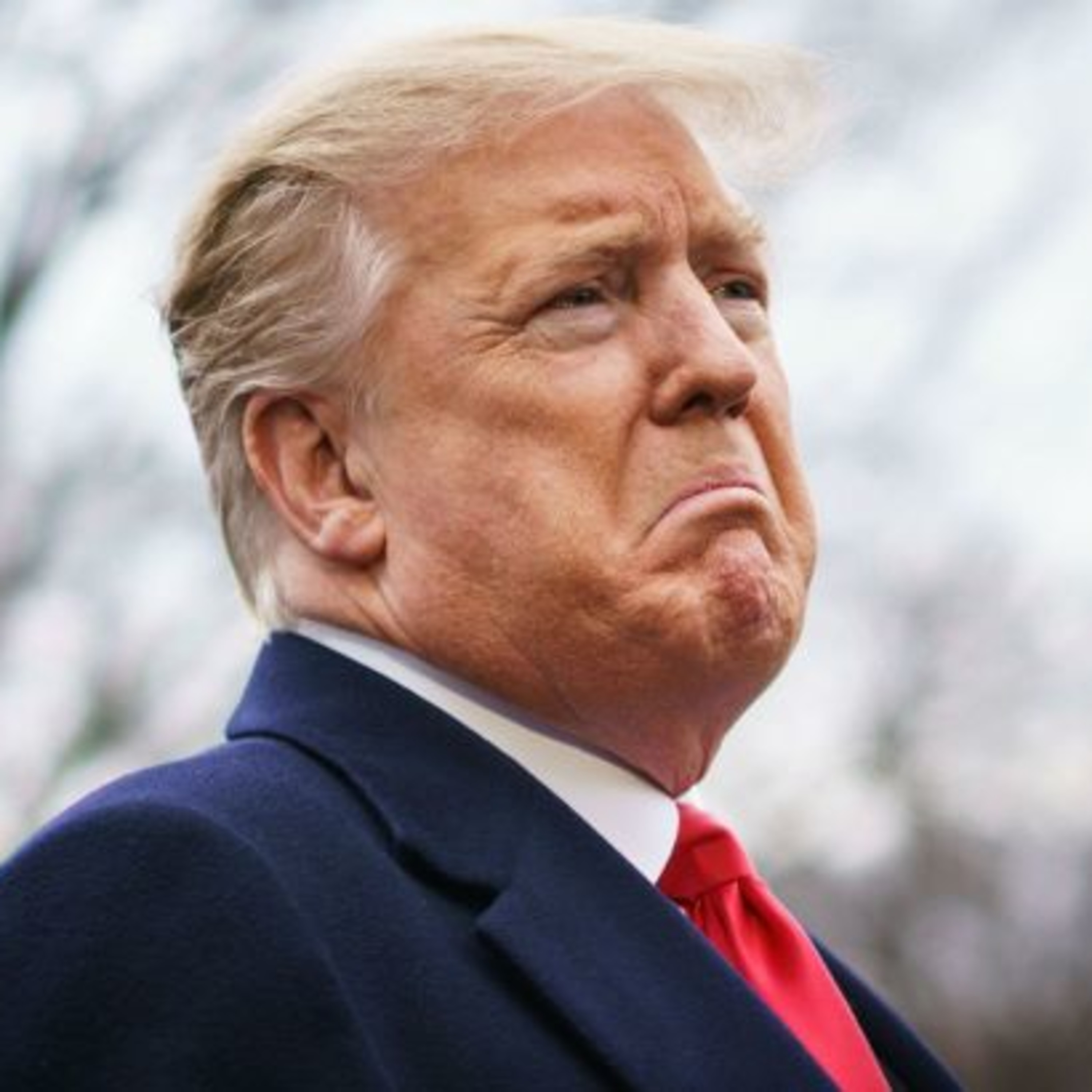 Episode 91: Mueller Report episode artwork