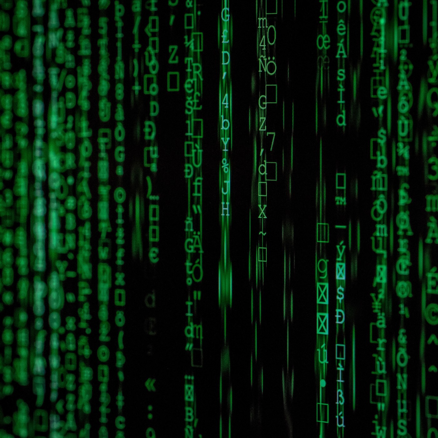 The Simulation Theory