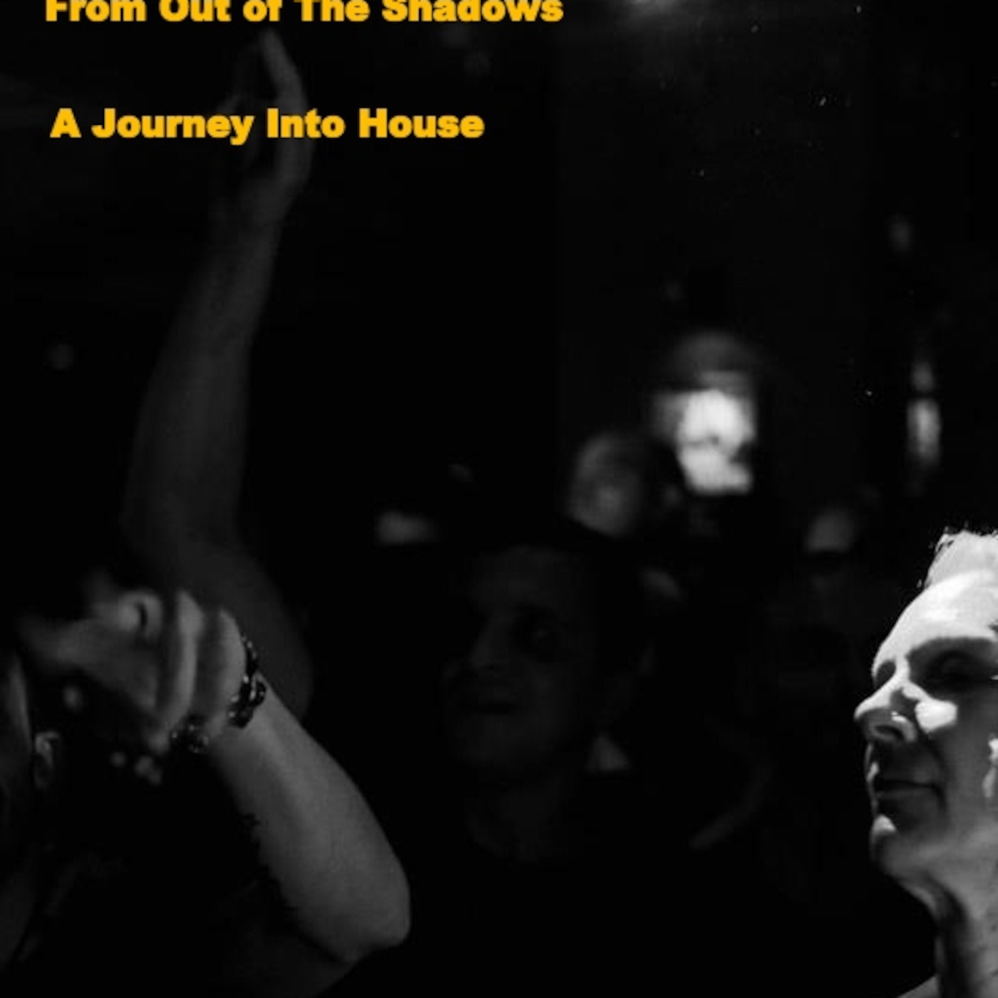 From Out of The Shadows - A Journey Into House