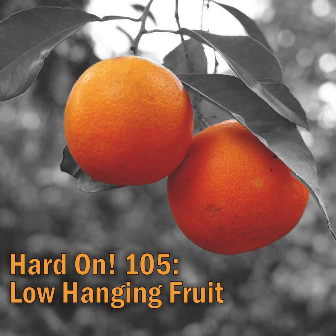 Hard On! 105: Low Hanging Fruit