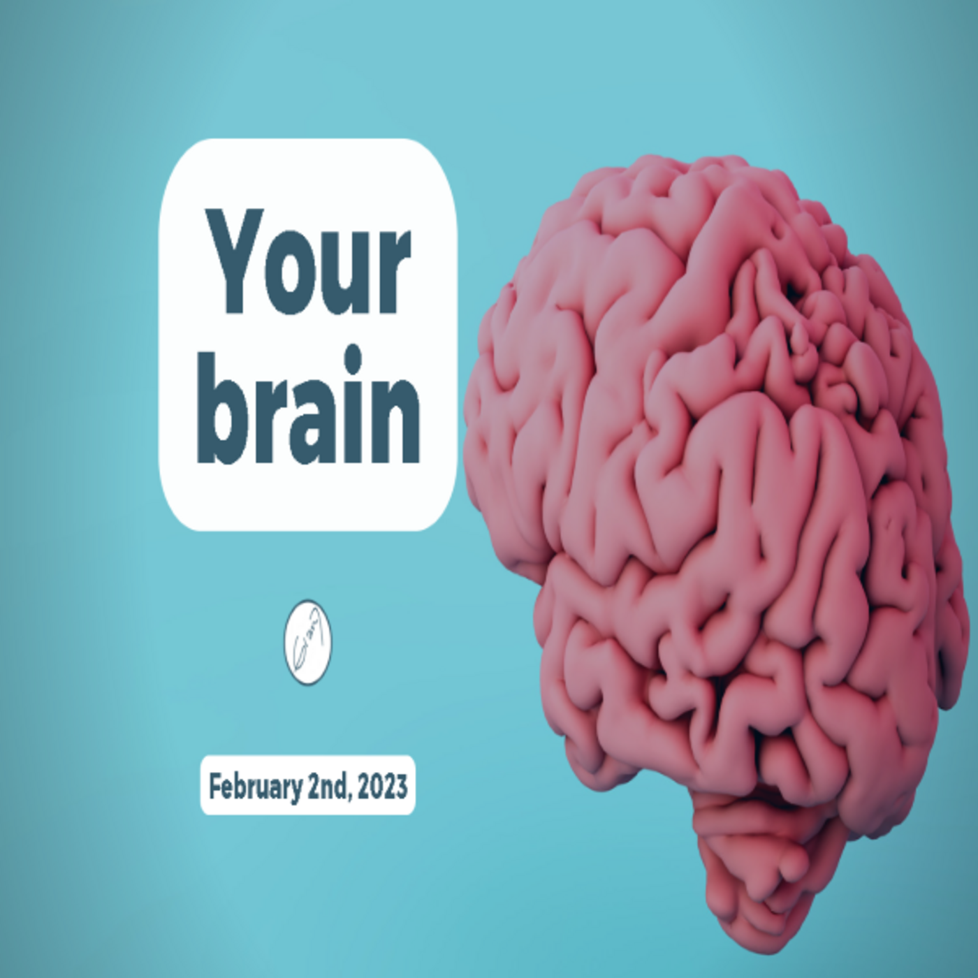 Episode 909: Your brain episode artwork