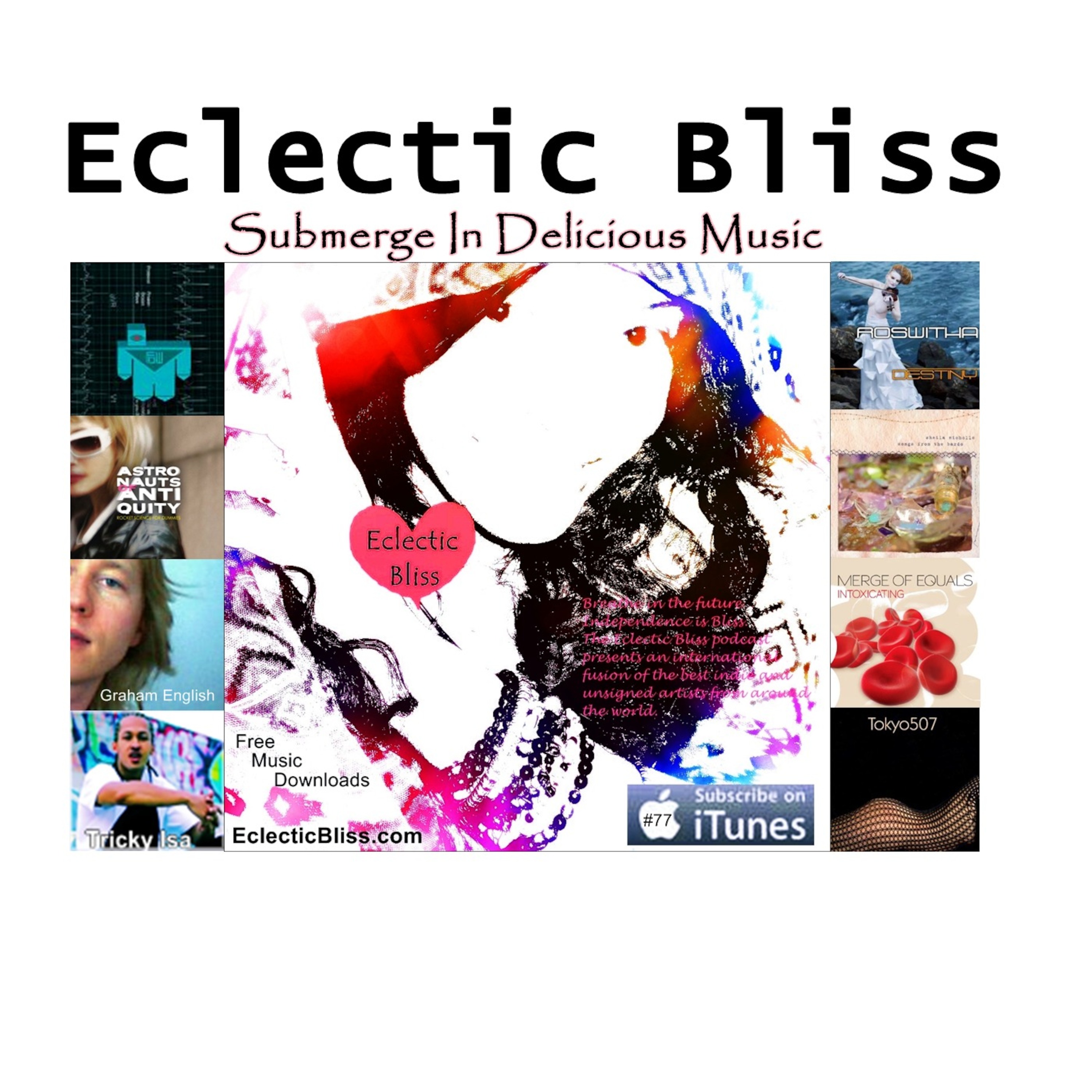 Eclectic Bliss: Submerge In Delicious Music - Episode 77 -January 1 - 2014
