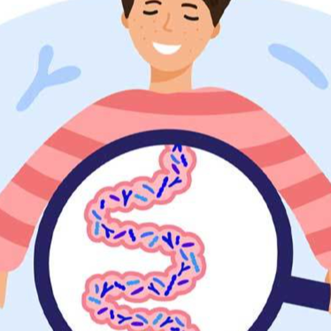 The Connection Between The Gut And Weight