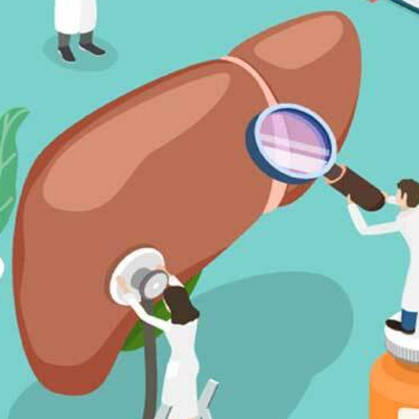All About Your Liver- PART 1 How To Improve Your Liver