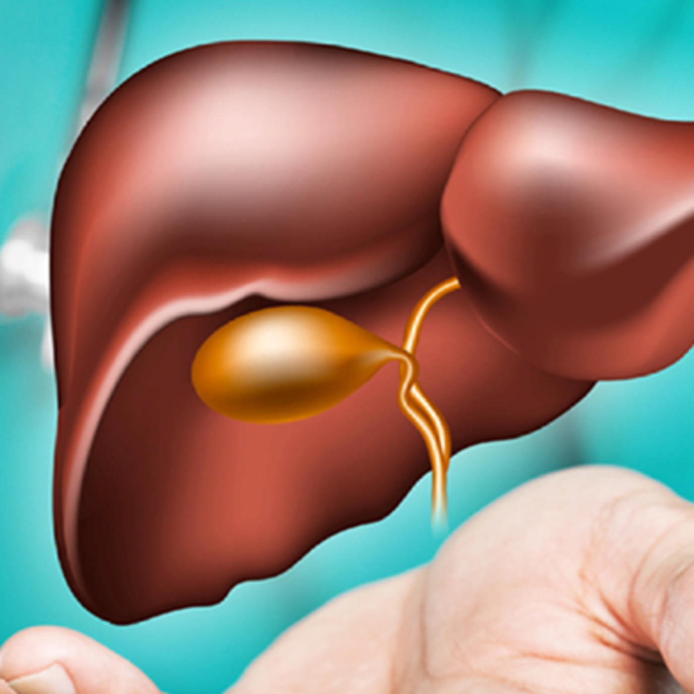 All About Your Liver- PART 2 The Amazing Functions Of Your Liver