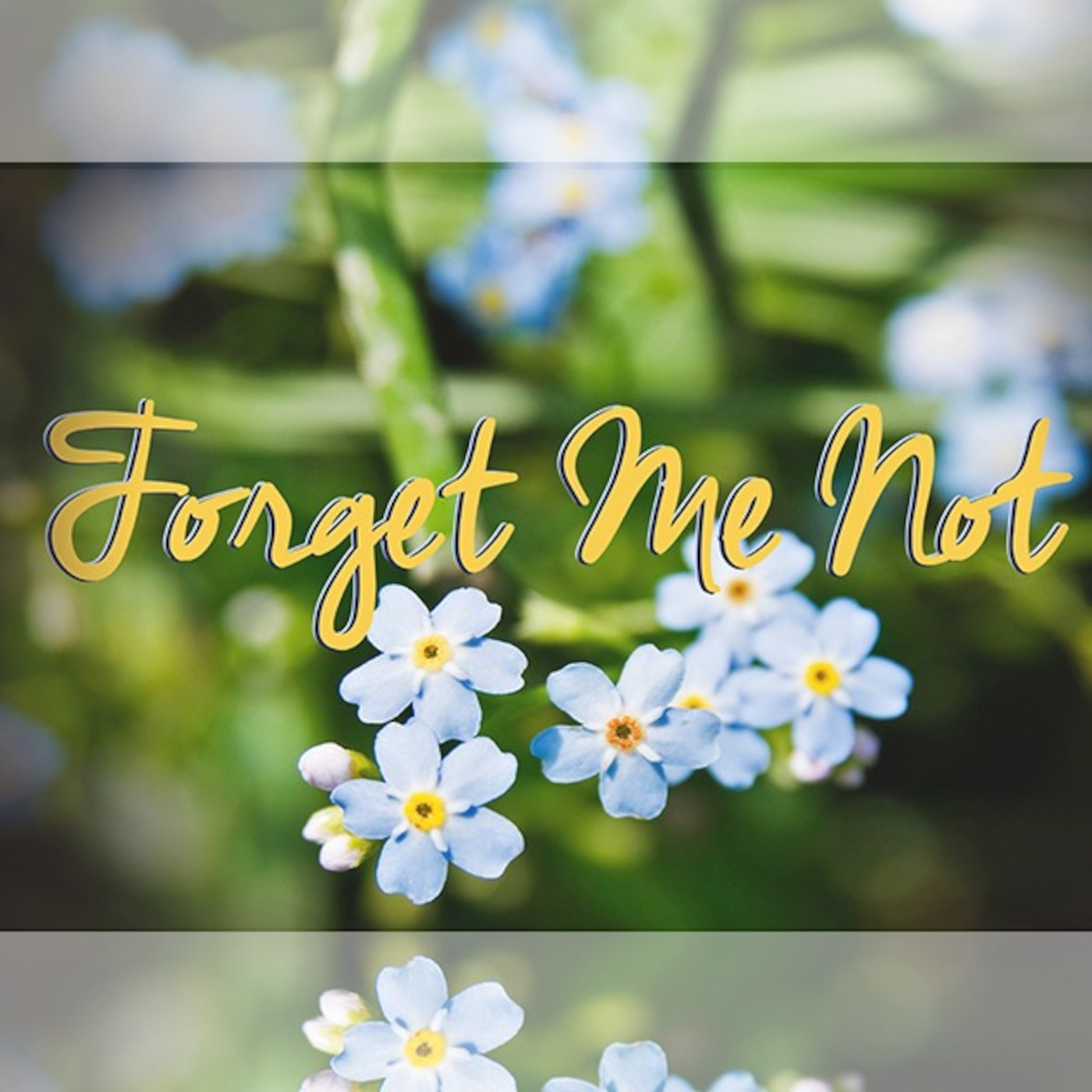 Forget Me Not episode artwork