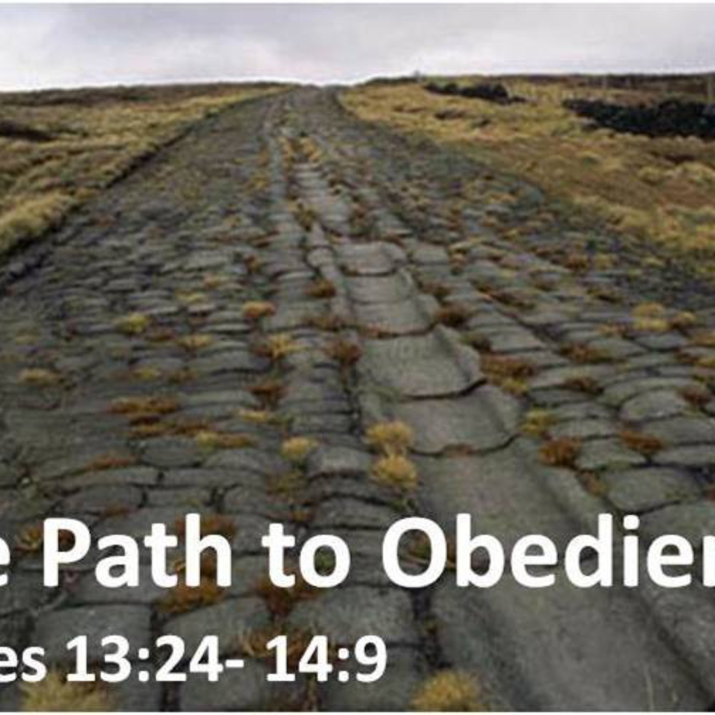 The Path to Obedience episode artwork