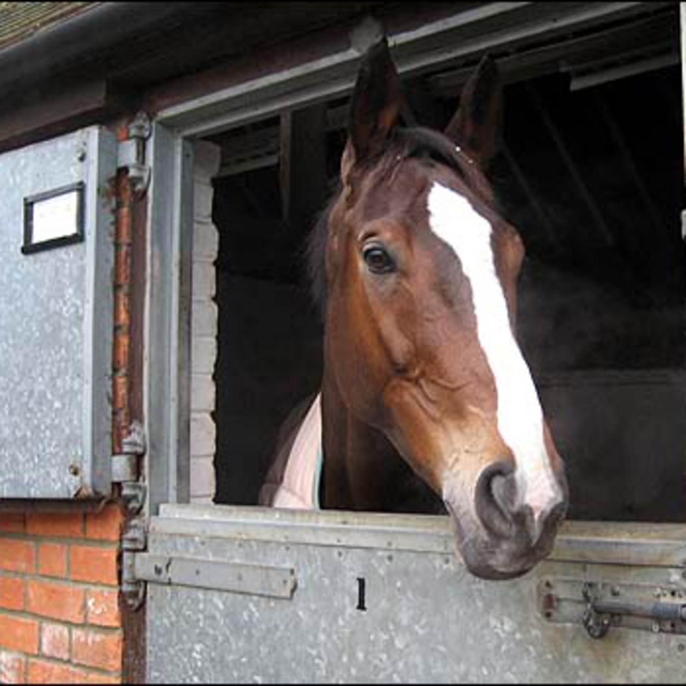 Kauto Star